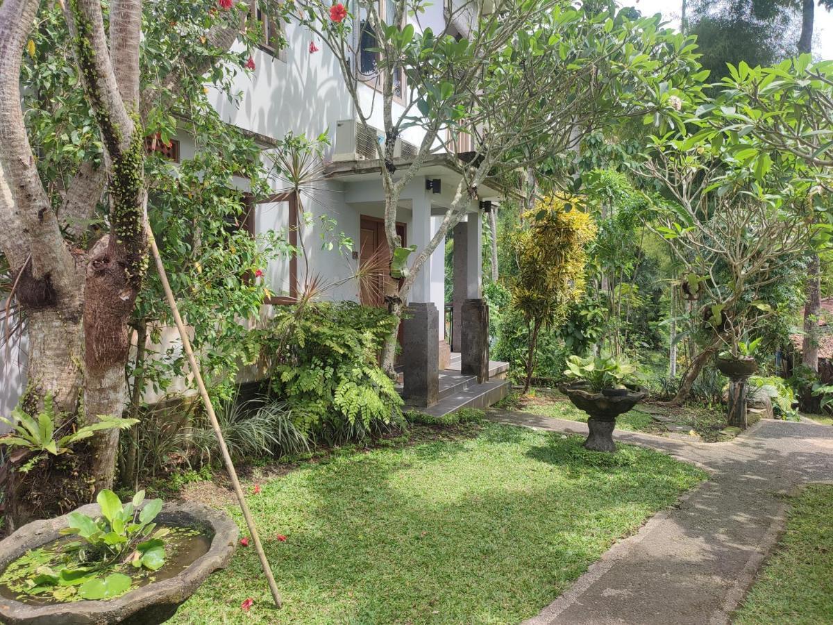Nyoman Homestay Ubud Екстериор снимка